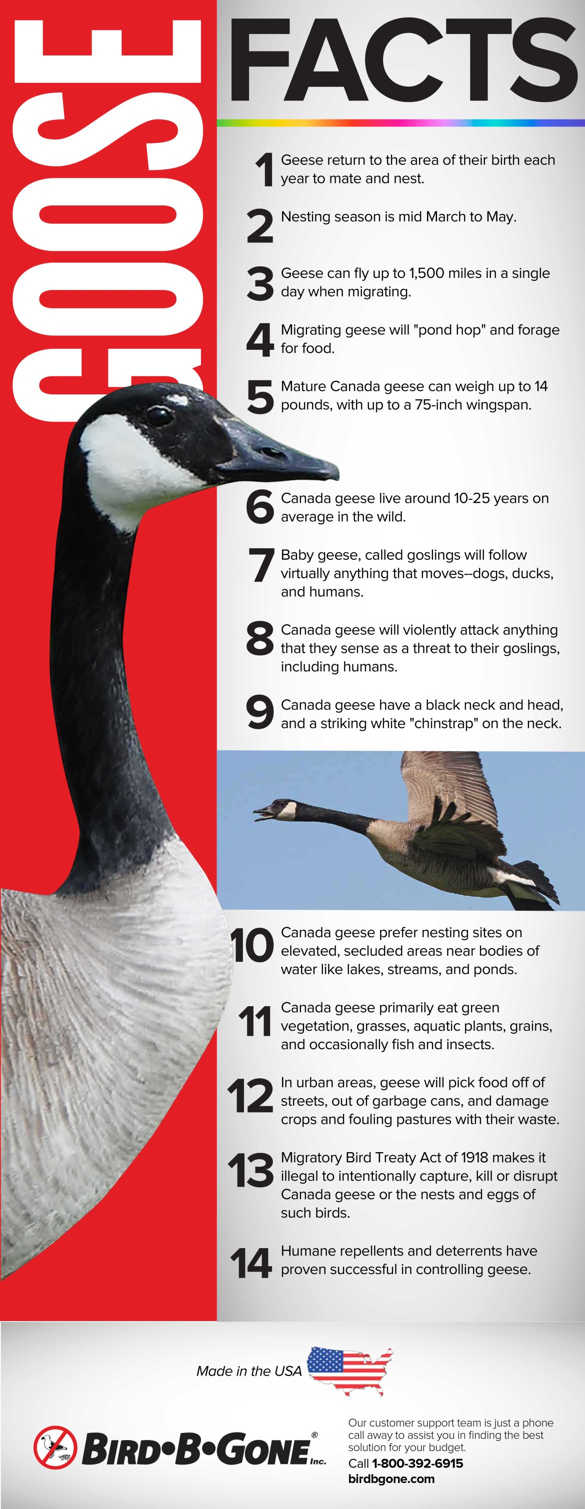 Canada Goose Control Solution Facts